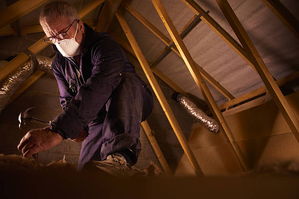 Best Energy Efficiency Insulation in Storrs, CT